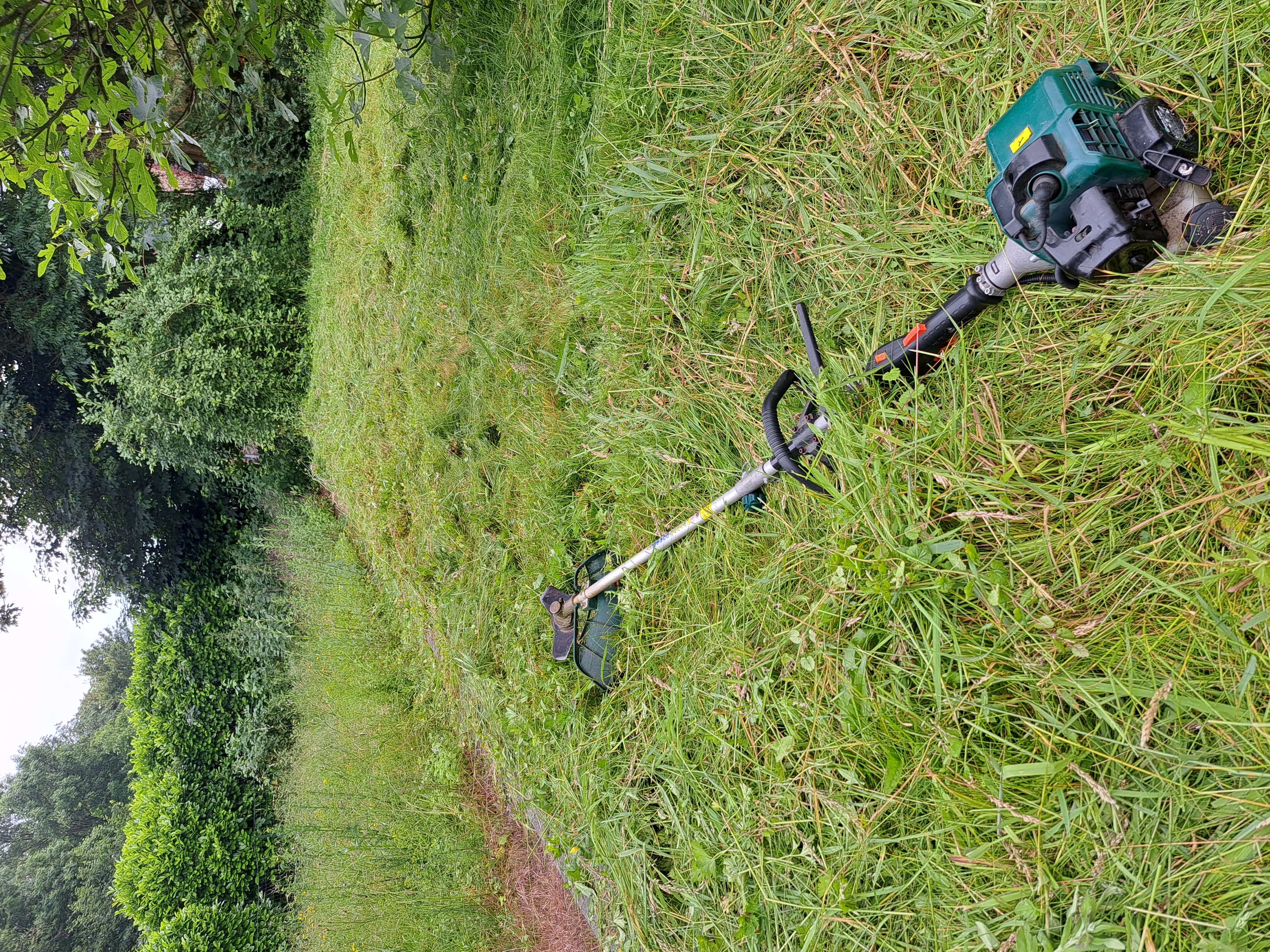 Création et aménagement de jardin sur mesure avec pelouse et plantations dans le Hainaut