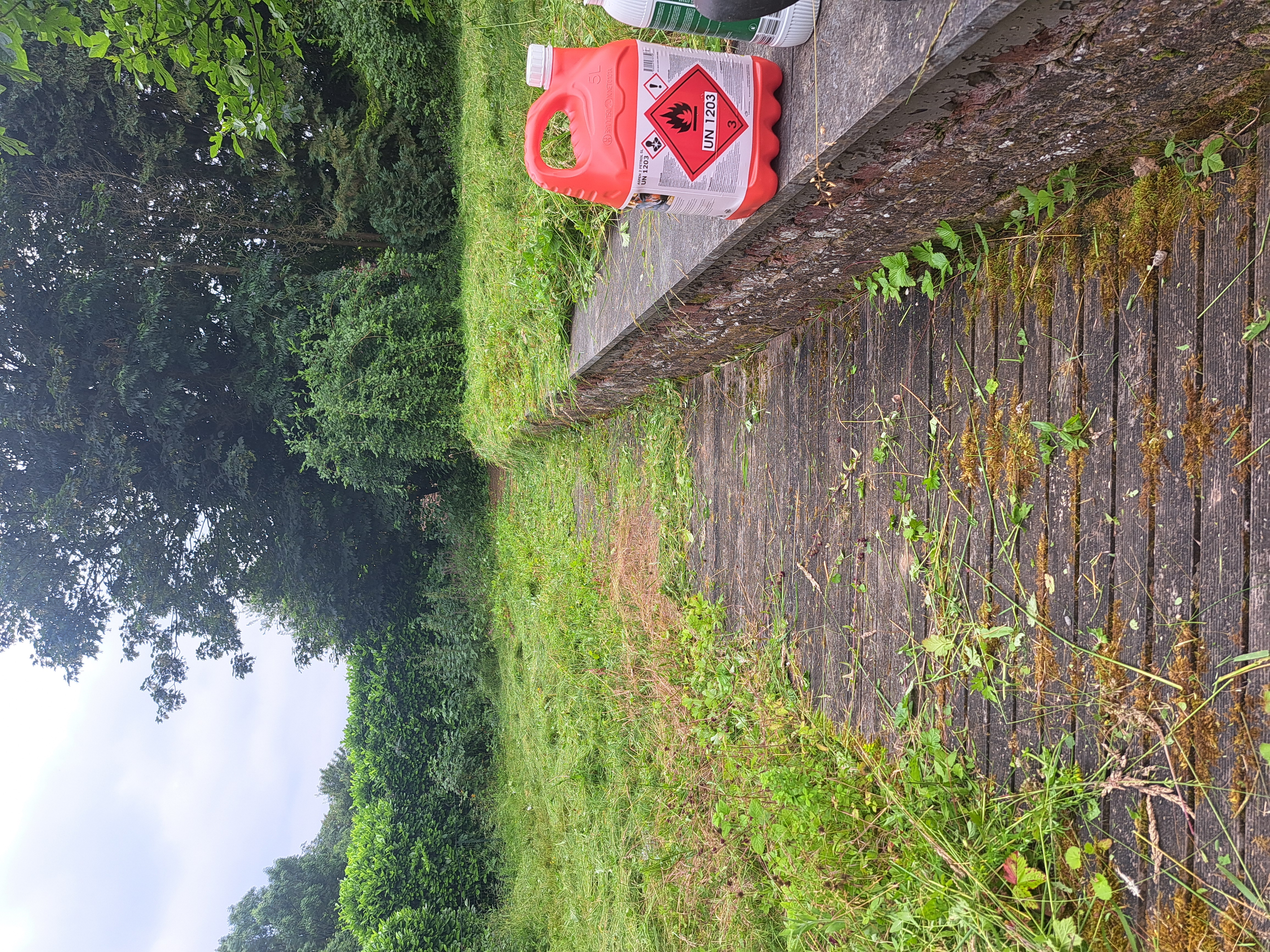 Création d'un espace vert avec pelouse et plantations décoratives dans le Hainaut